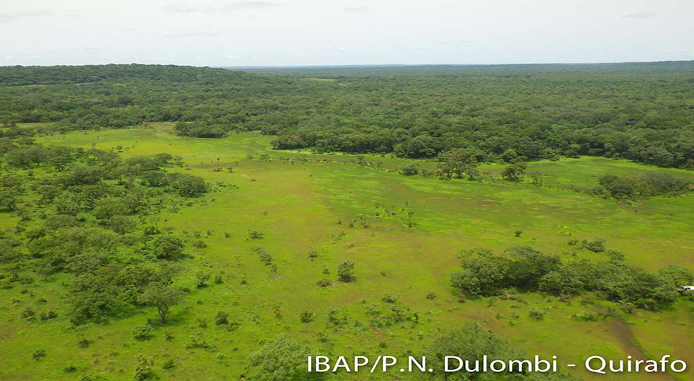 Parque Nacional de Dulombi
